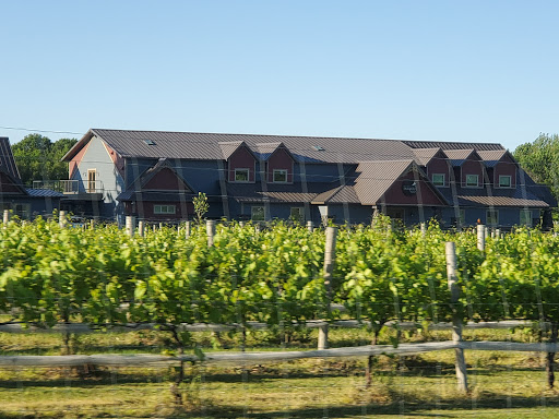 Winery «Dancing Dragonfly Winery», reviews and photos, 2013 120th Ave, St Croix Falls, WI 54024, USA