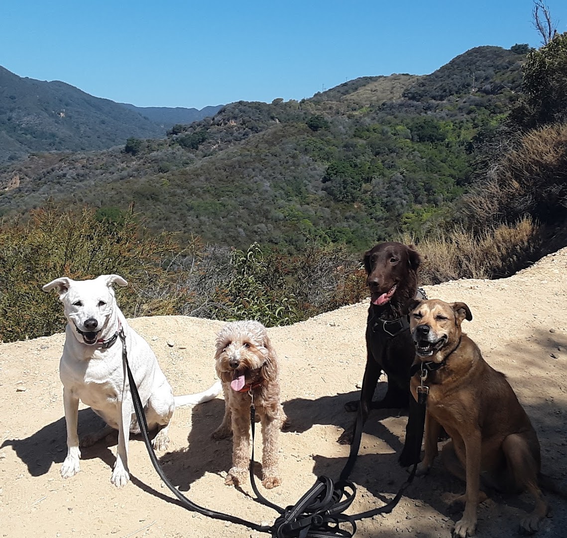 Santa Monica Dog Hikers