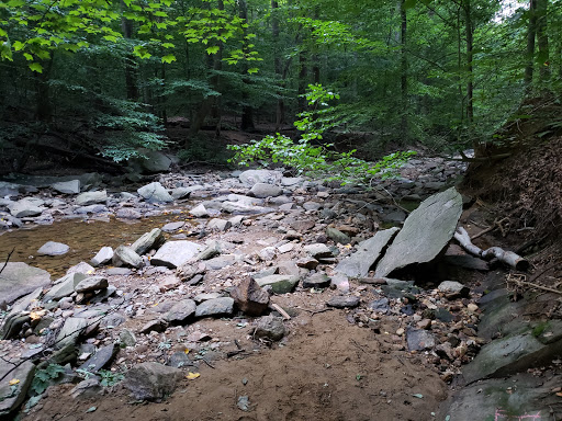 Donaldson Run Park