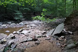 Donaldson Run Park image