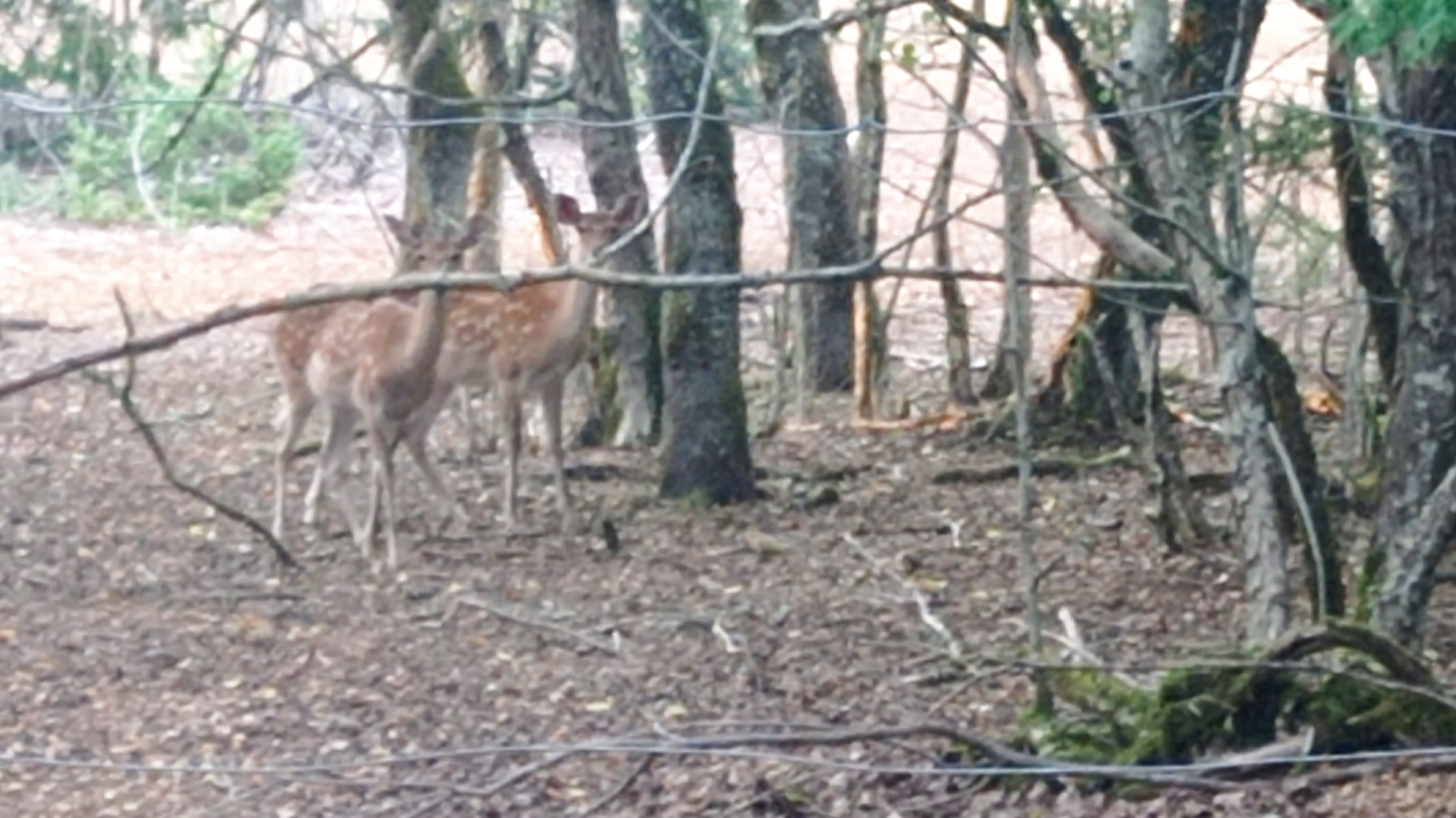 Photo n° 4 de l'avis de alain.o fait le 23/08/2022 à 08:56