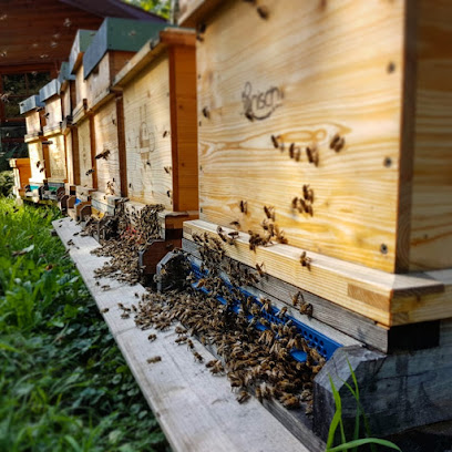 Imkerei BienenTanz