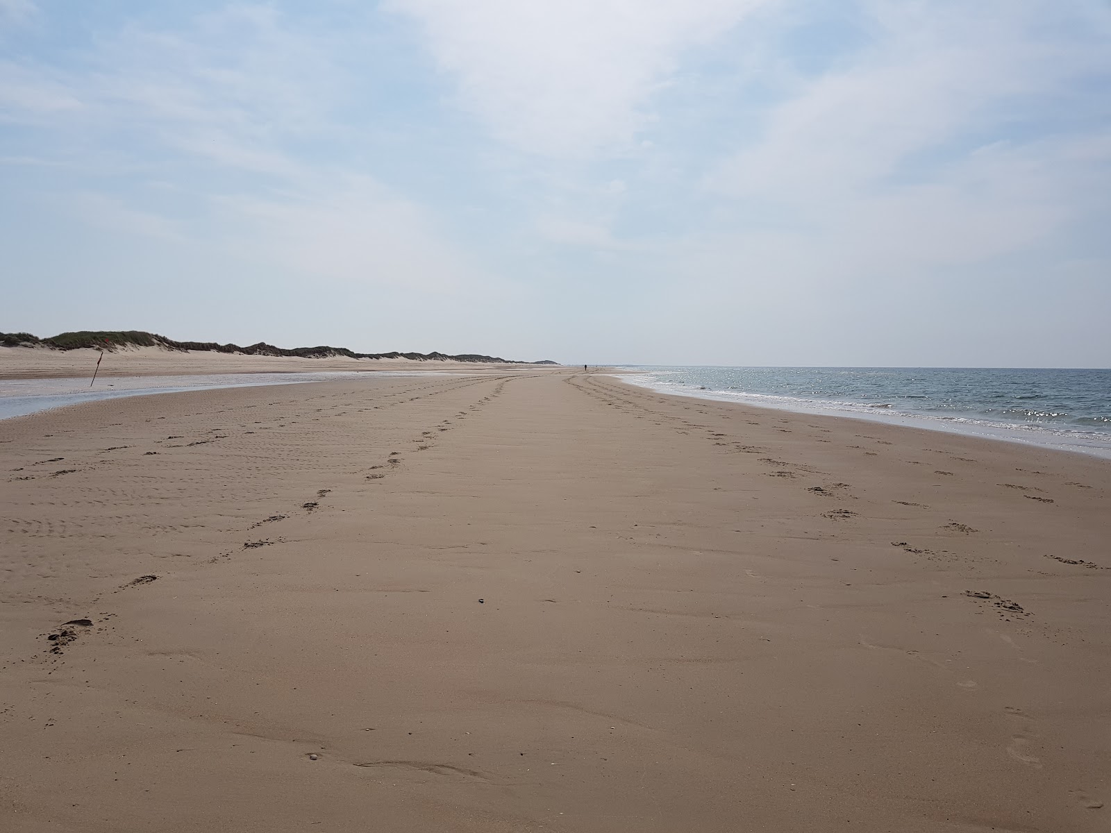 Hoje Knolde Beach photo #8