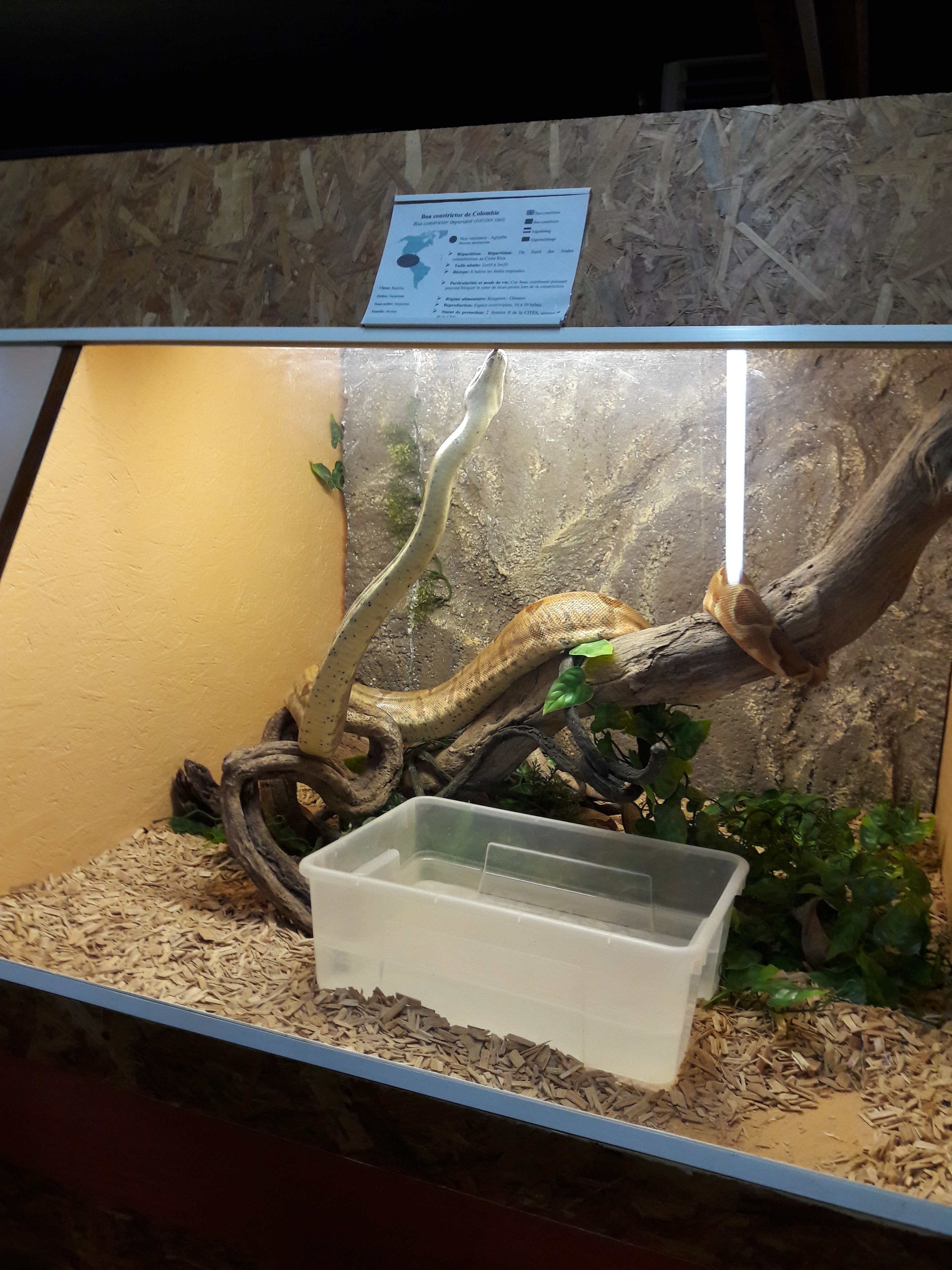 Photo n° 1 de l'avis de Gilbert.e fait le 30/07/2019 à 18:51