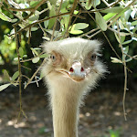 Photo n°8 de l'avis de Markus.o fait le 31/05/2023 à 13:15 sur le  Parc Gallorose à Loc. Cedrino