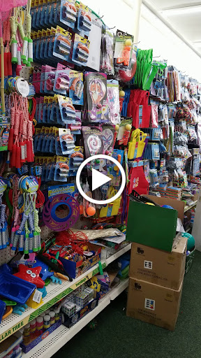 Dollar Store «Dollar Tree», reviews and photos, 100 Northeast Ave, North East, MD 21901, USA