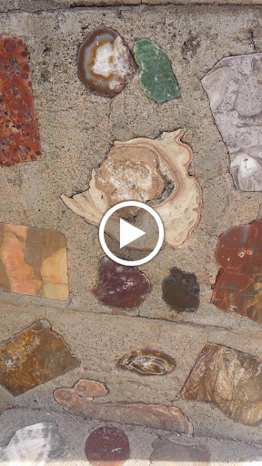 Nature Preserve «McAllen Nature Center», reviews and photos, 4101 U.S. 83 Business, McAllen, TX 78501, USA