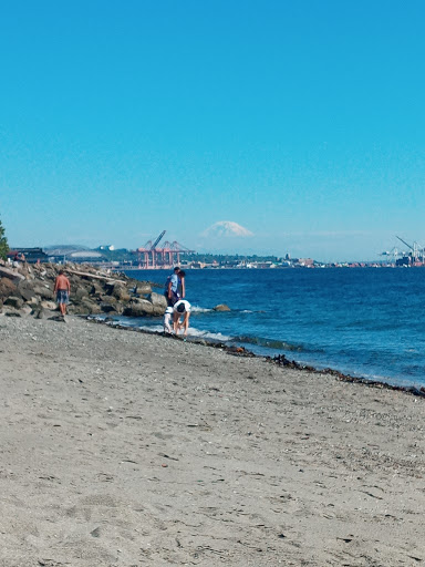 Park «Olympic Sculpture Park», reviews and photos, 2901 Western Ave, Seattle, WA 98121, USA