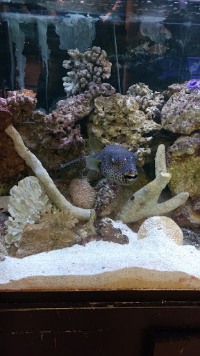 Pet Store «Moby Dick Pet Store Inc», reviews and photos, 3700 Sashabaw Rd, Waterford Twp, MI 48329, USA