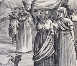 Homestead Park Nikaj photo