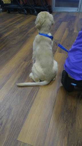 Pet Store «Pet Valu», reviews and photos, 99 E Main Rd, Middletown, RI 02852, USA