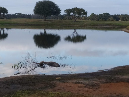Golf Course «Buffalo Creek Golf Course», reviews and photos, 8100 69th St E, Palmetto, FL 34221, USA