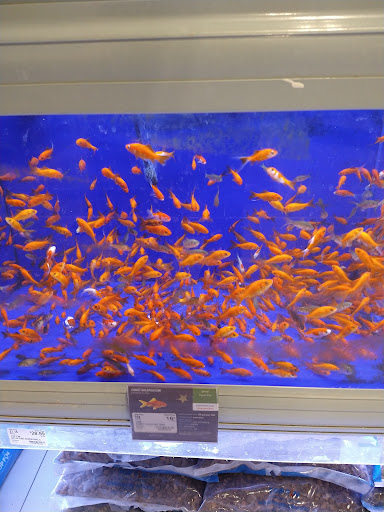 Pet Supply Store «PetSmart», reviews and photos, 1515 US-22, Watchung, NJ 07069, USA