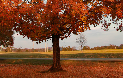 Park «Percy Warner Park», reviews and photos, 7311 Tennessee 100, Nashville, TN 37221, USA