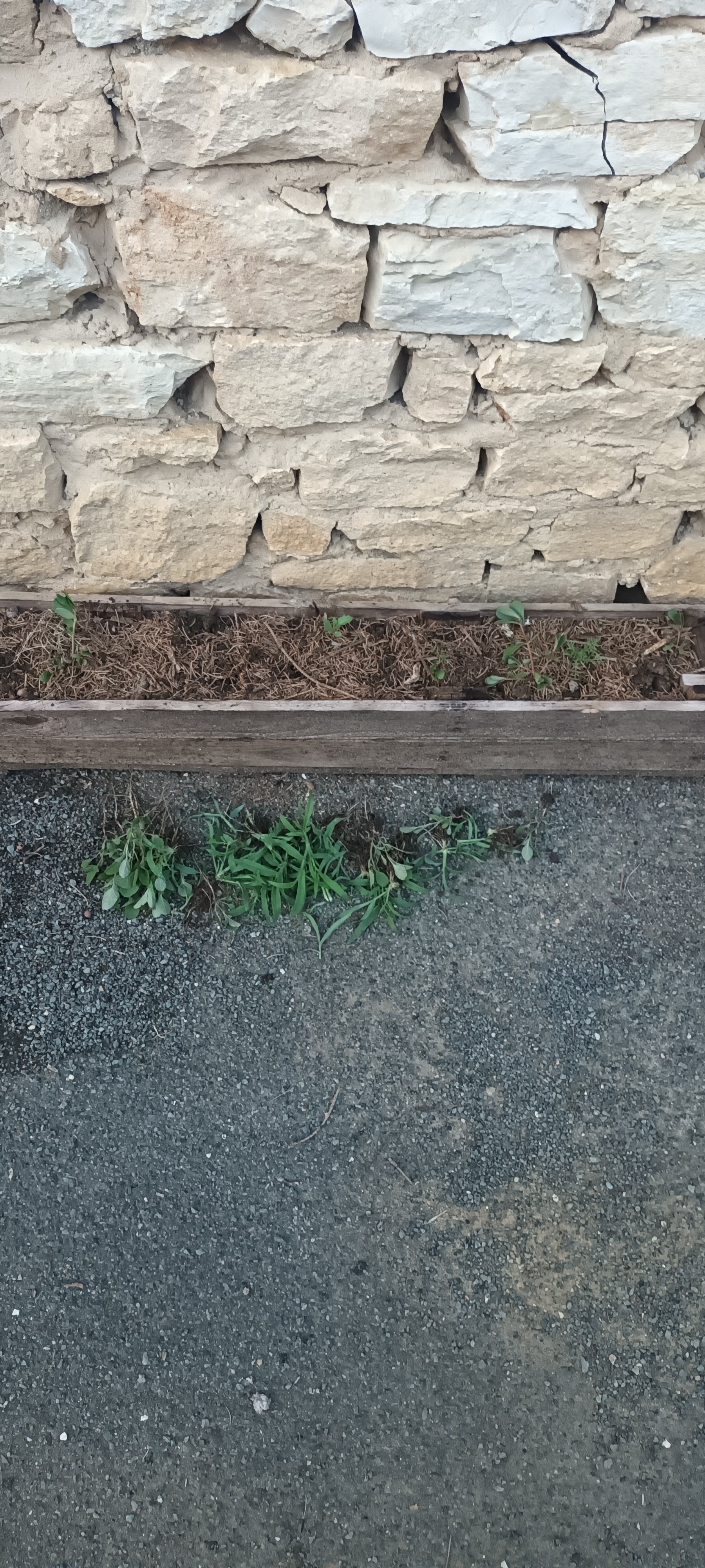 Photo n° 1 de l'avis de média.l fait le 10/04/2023 à 12:09