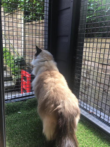 Reviews of Cuddles Cattery in Manchester - Veterinarian