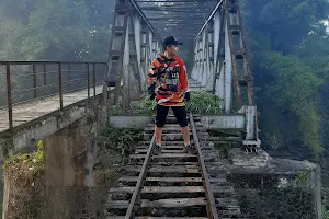 Jembatan Besi Karang Anom Balung Kulon Jember image