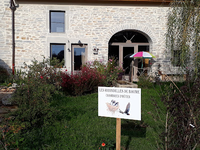 Les Hirondelles de Baume à Hauteroche