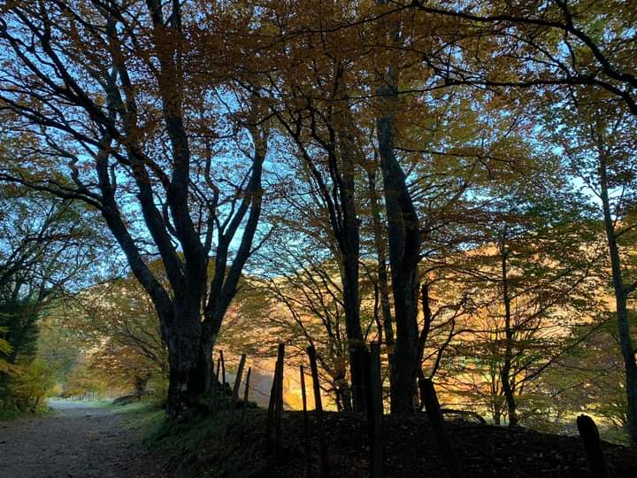Photo n° 6 de l'avis de Gérard.e fait le 25/02/2024 à 14:47