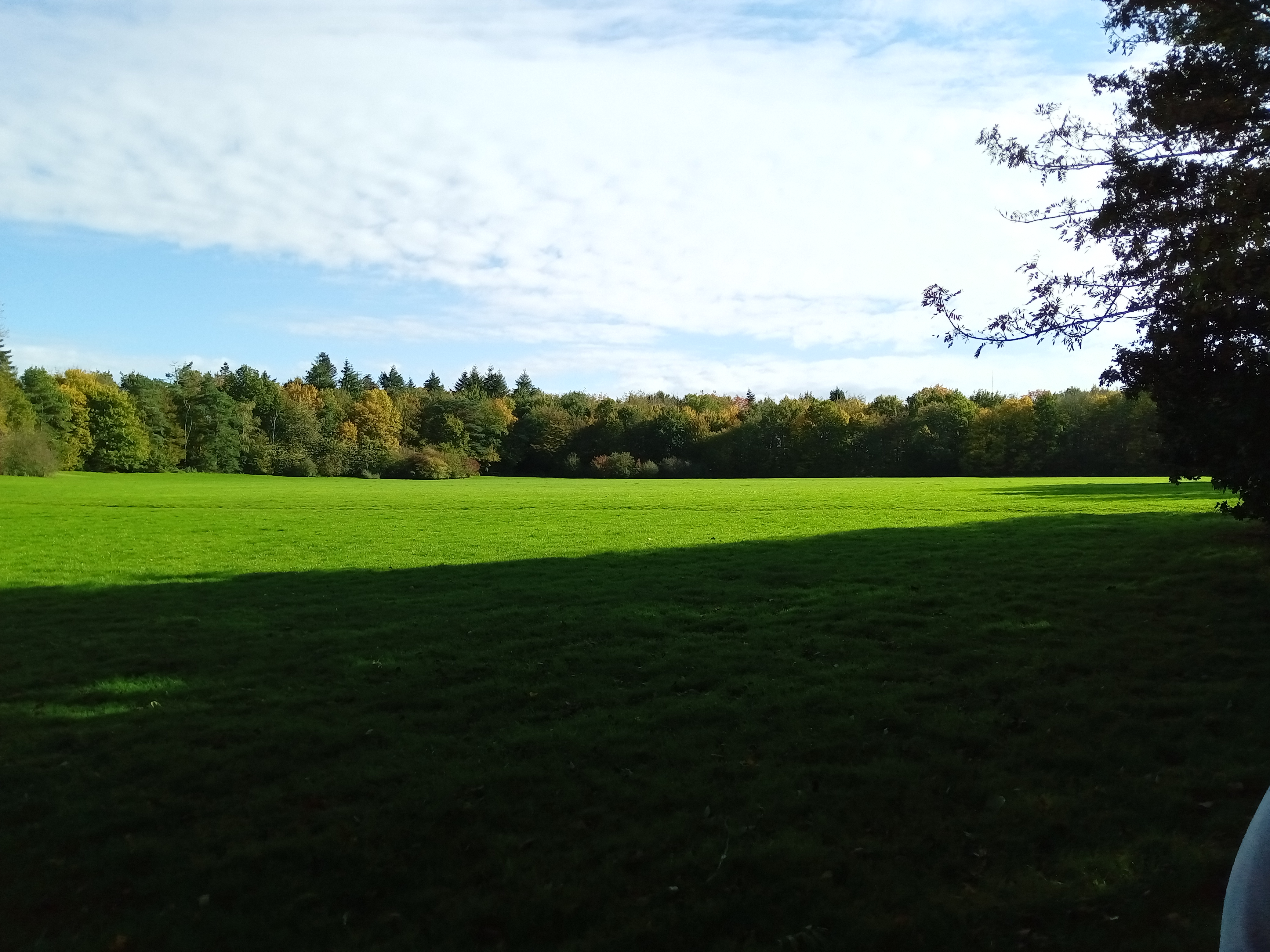 Photo n° 8 de l'avis de Fari.d fait le 22/10/2020 à 14:42