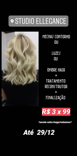 Logo da empresa - Studio Ellegance