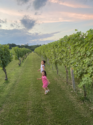 Vineyard «Cascia Vineyards & Winery», reviews and photos, 1200 Thompson Creek Rd, Stevensville, MD 21666, USA