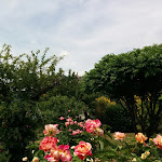 Photo n°9 de l'avis de Luca.u fait le 11/06/2017 à 19:57 sur le  Ristorante la Mulinella à Todi