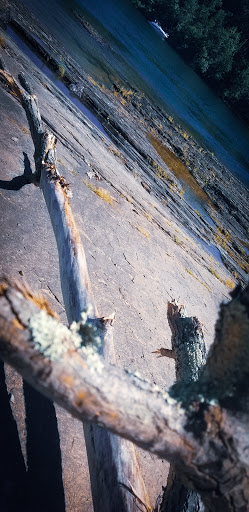 Tourist Attraction «Dinosaur Footprints», reviews and photos, US-5, Holyoke, MA 01040, USA