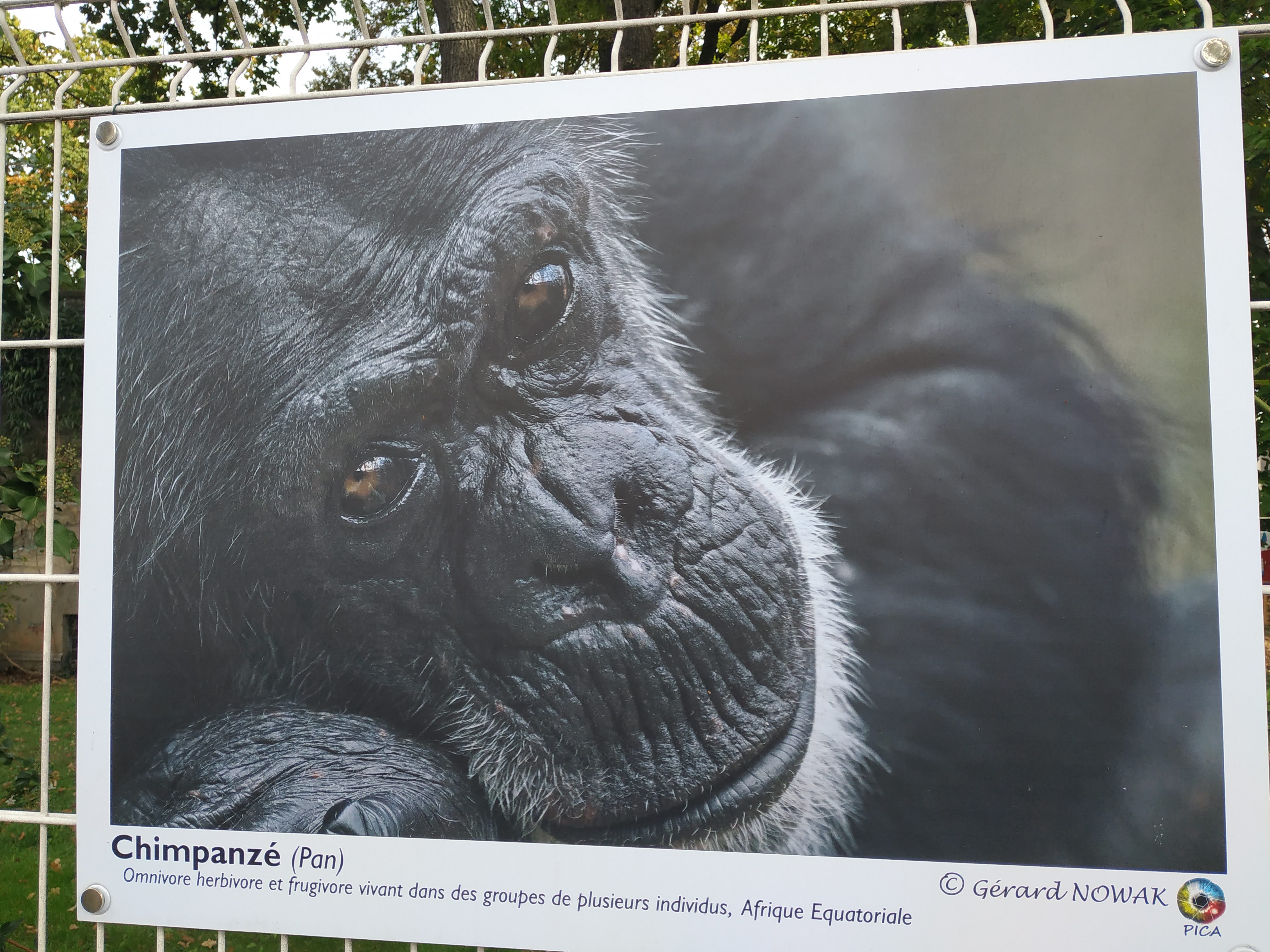 Photo n° 4 de l'avis de Mary-an.r fait le 17/10/2021 à 11:49