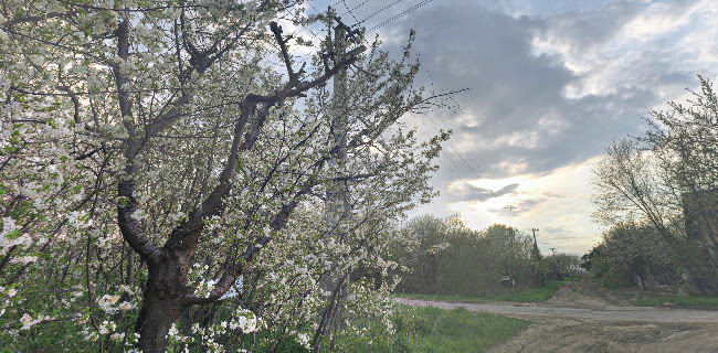 BÚTORSZERELÉS SZEGED