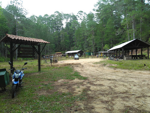 Campamento Parque Nacional Cusuco