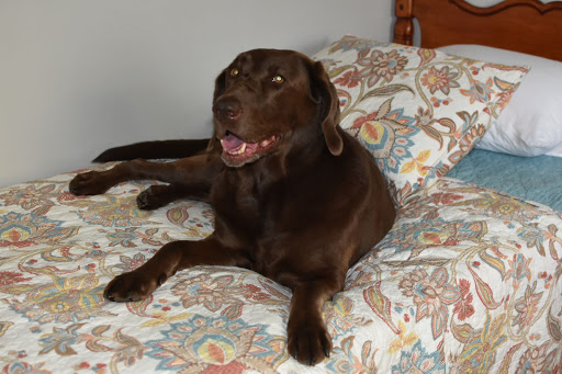 Golf Course «Founders Club at Pawleys Island», reviews and photos, 7829 Ocean Hwy, Pawleys Island, SC 29585, USA