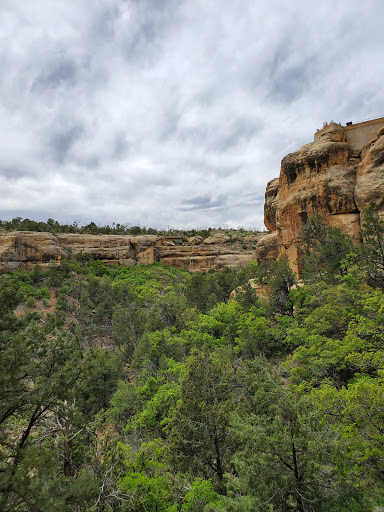 Archaeological Site «Cliff Palace», reviews and photos