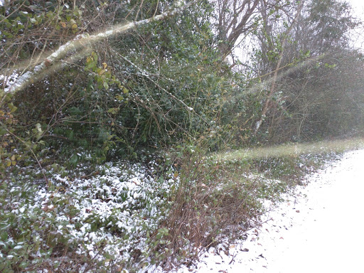 Park «Vista Brook Park», reviews and photos, 6697 SW 88th Ave, Portland, OR 97223, USA