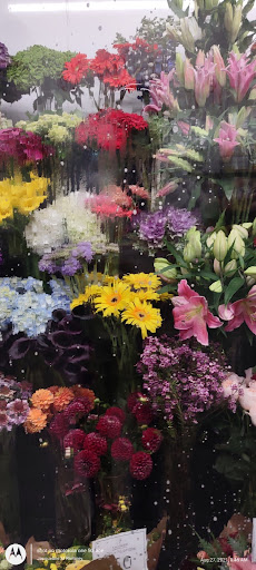 Florist «Englewood Florist, Inc.», reviews and photos, 47 E Palisade Ave, Englewood, NJ 07631, USA