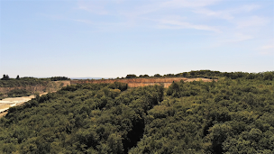 Photo n°15 de Chalet de la chasse à Trept ()