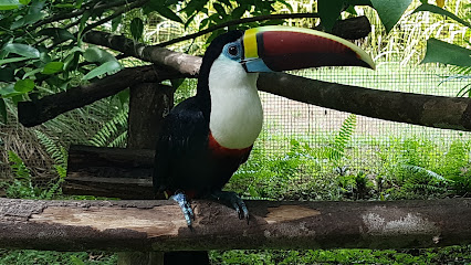 Zoo de Guyane