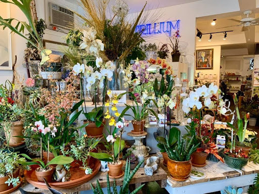 Florist «Trillium», reviews and photos, 41 Rittenhouse Pl, Ardmore, PA 19003, USA