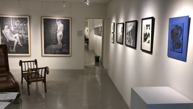 ArtDynasty Gallery - Museum
