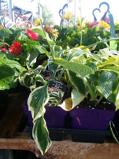 Hardware Store «Westlake Ace Hardware 080», reviews and photos, 708 S Aspen Ave, Broken Arrow, OK 74012, USA