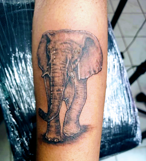 Tattoo Shop «BODY ARMOR TATTOO AND PIERCING», reviews and photos, 20709 US-27, Lake Wales, FL 33853, USA