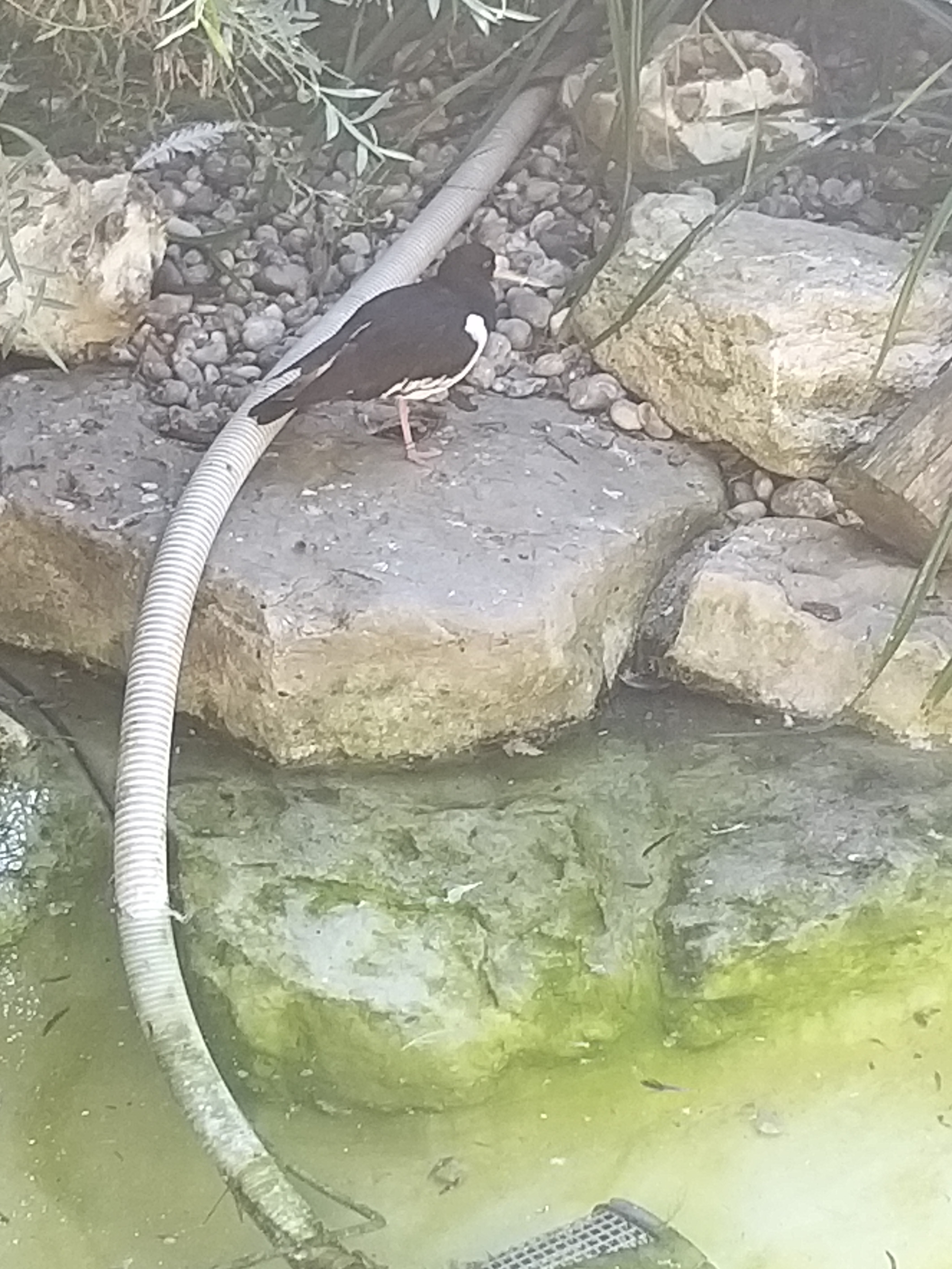 Photo n° 2 de l'avis de Angelique.a fait le 25/08/2019 à 15:14