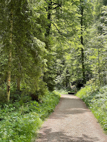 Rezensionen über NSG creux du Van in Val-de-Travers NE - Parkhaus