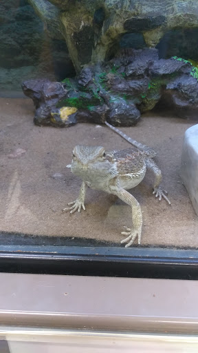 Pet Supply Store «Petco Animal Supplies», reviews and photos, 2340 Holcomb Bridge Rd, Roswell, GA 30076, USA