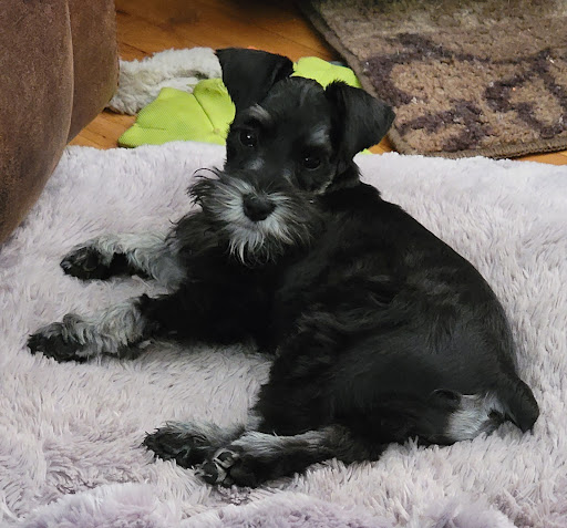 519 Warm Springs Ave, Martinsburg, WV 25404, USA