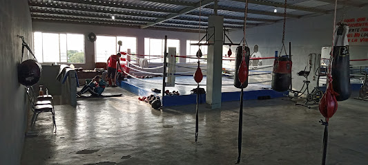 GIMNASIO DE BOX LOS PANCHOS GQ - Escobedo, El Fraile I, 66005 García, N.L., Mexico