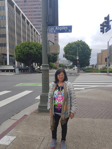 Shopping Mall «Los Angeles Mall», reviews and photos, 201 N Los Angeles St, Los Angeles, CA 90012, USA