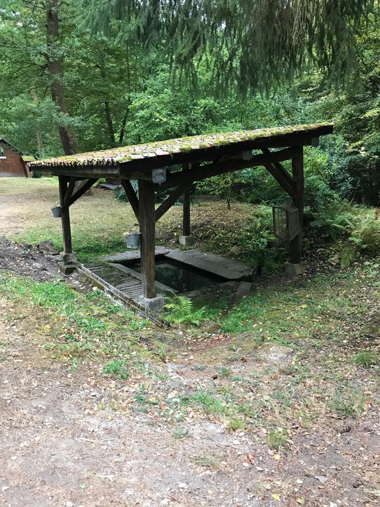 Photo n° 7 de l'avis de chiel.o fait le 26/09/2020 à 12:37