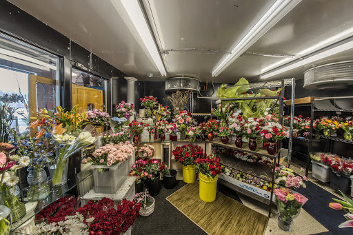 Wholesale florist Lansing