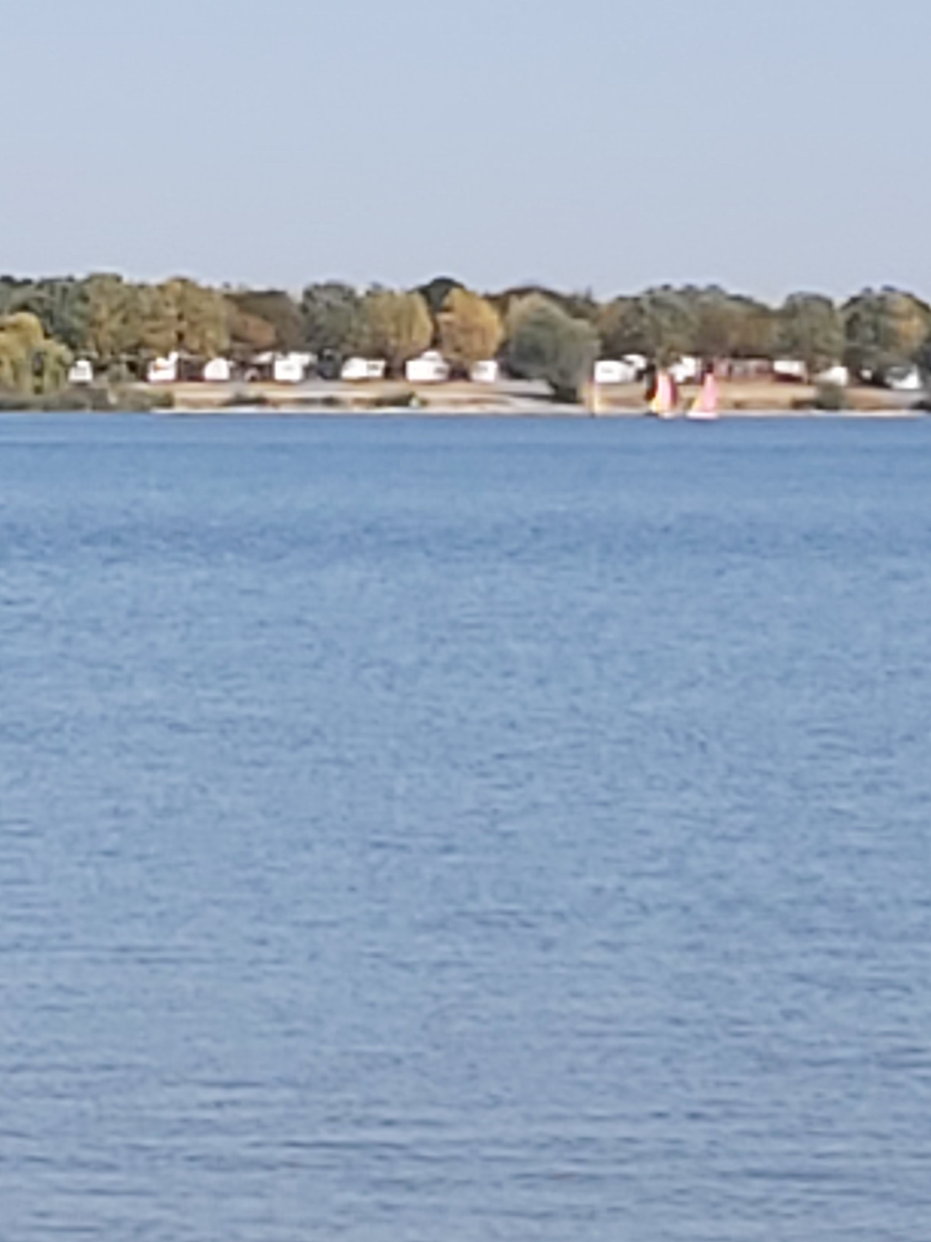 Photo n° 5 de l'avis de Stéphanie.e fait le 13/10/2020 à 09:24
